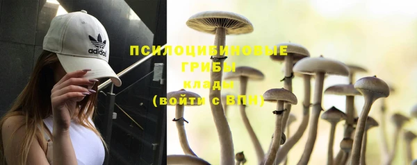 гашик Магадан